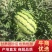 【热销】硒砂瓜精品甘肃西瓜保质保量产地直销代发全国