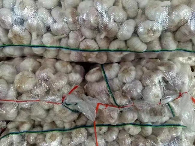 市场上的白皮蒜产品展示