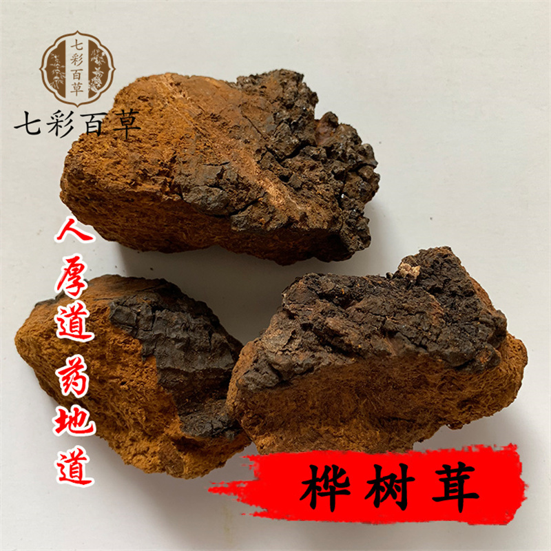 白桦茸桦树茸桦树黄选产地黑龙江省