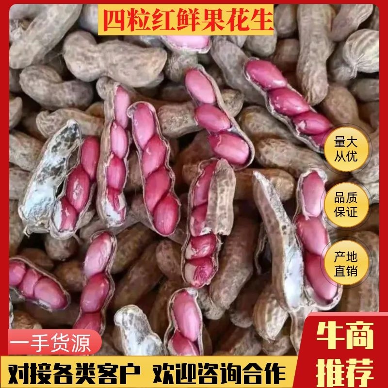 四粒红鲜花生，纯沙地，皮相好，包装精美，质优价廉