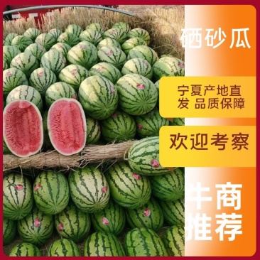 【石缝瓜】宁夏硒砂瓜个大味甜一手货源价格可谈