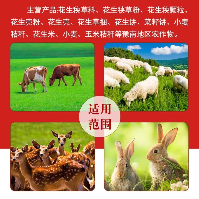 【推荐】青储玉米秸秆厂家供应牛羊马食用植物饲料全国发货