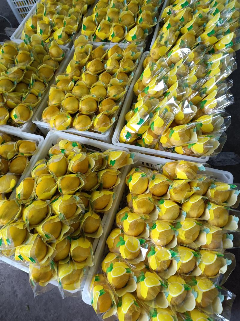安岳优选尤力克柠檬一件代发独立包装全国包邮全年供应