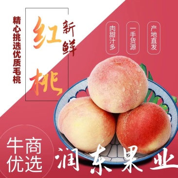 河北优质桃红桃现摘现发品种齐全发往东北南方量大价优