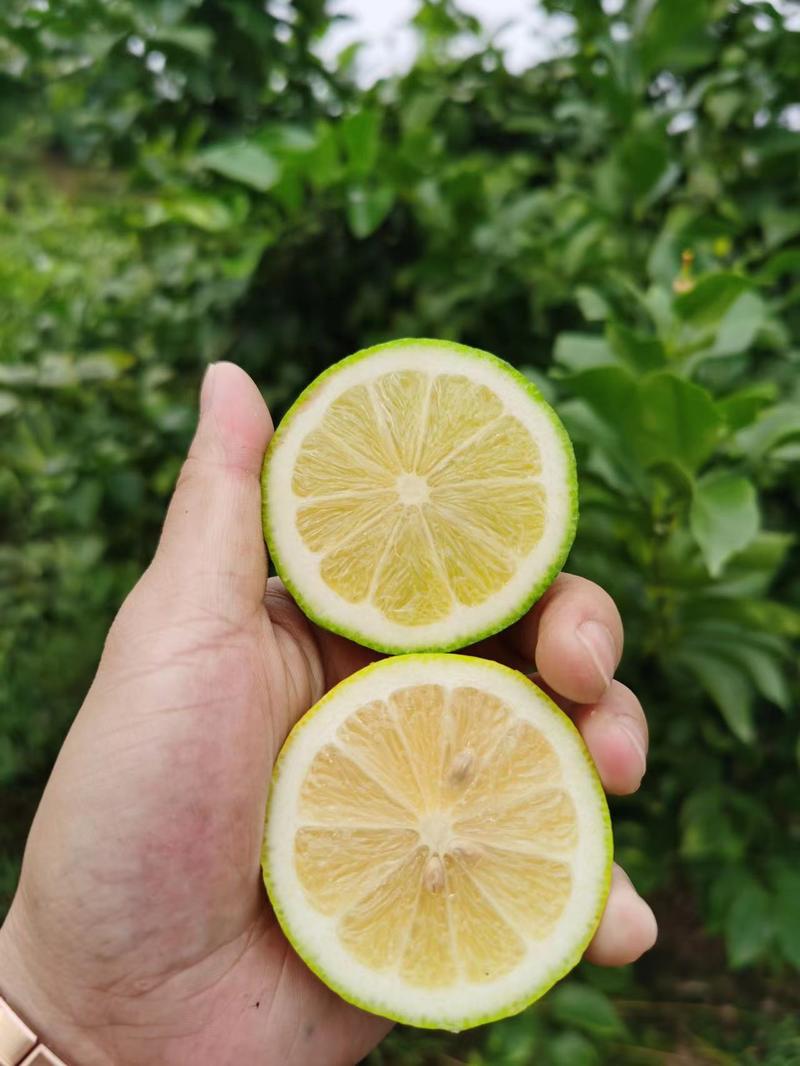安岳青柠檬专业批发产地直发一二级规格齐全汁多酸爽