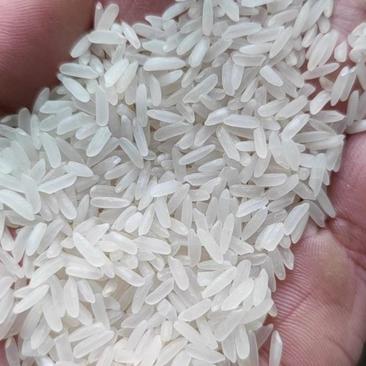 米厂批发大米金龙鱼大米质量保证价格优惠可定制