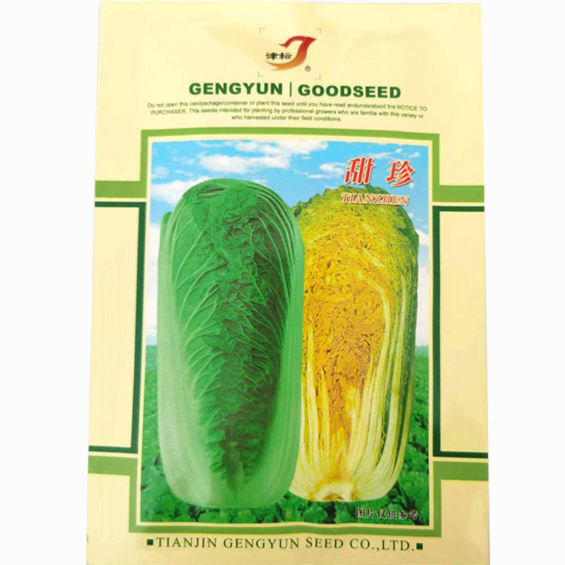 甜珍秋季大白菜种子20g中晚熟直筒合抱型高帮大白菜种籽