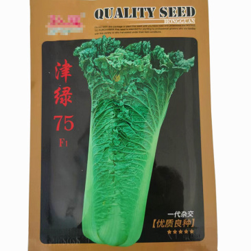 白菜种子津绿75F1直筒型青麻叶叶色深绿叶纹适中