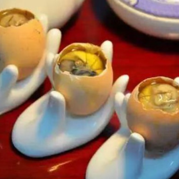 贺州半鸡半蛋毛鸡蛋实蛋孵化场联系电话号码全国发货