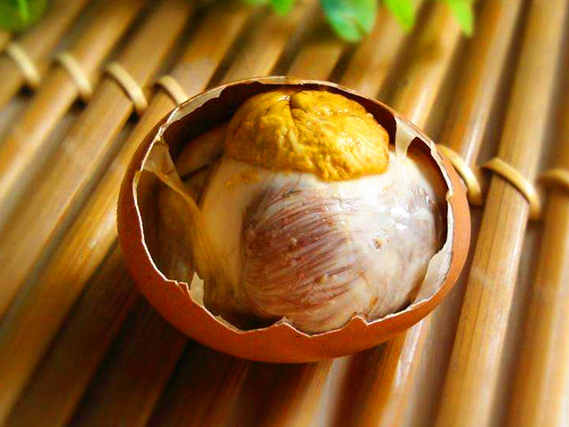 鸡蛋基本结构图解