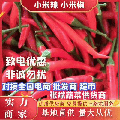 【实力商家】小米椒鲜辣椒小米辣产地现发承接商超批发