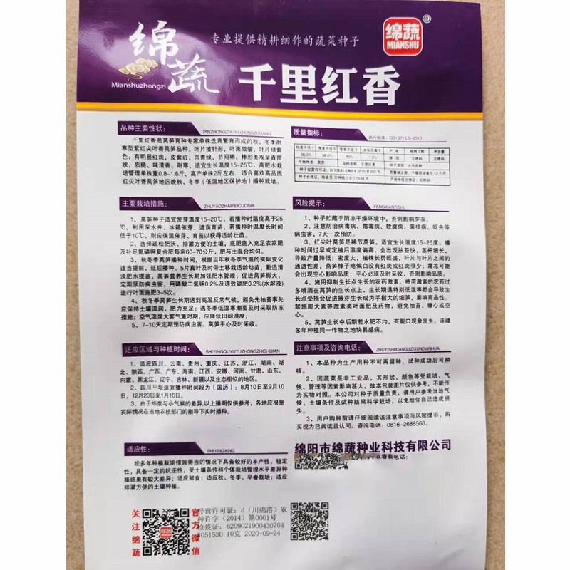 千里红香莴笋种子红尖叶耐寒皮紫红肉青绿晚秋冬季种植