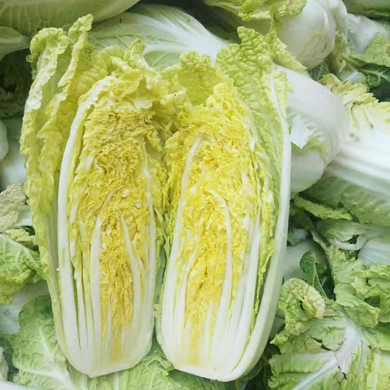 {精}吉红娃娃菜种子橘红秋播种植抗病强35天上市