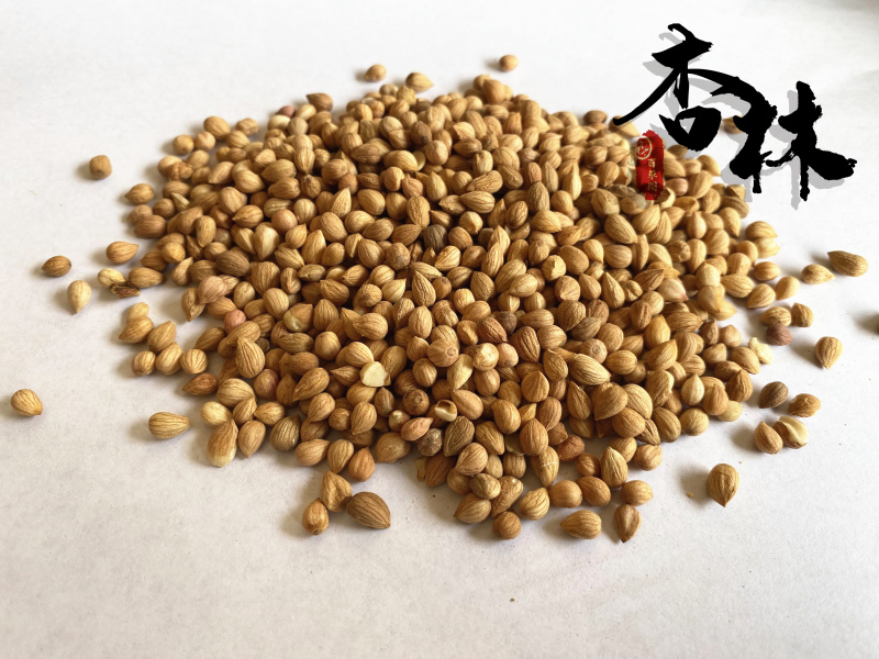 郁李仁郁里仁正品颗粒饱满好货颜色好