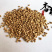 郁李仁郁里仁正品颗粒饱满好货颜色好