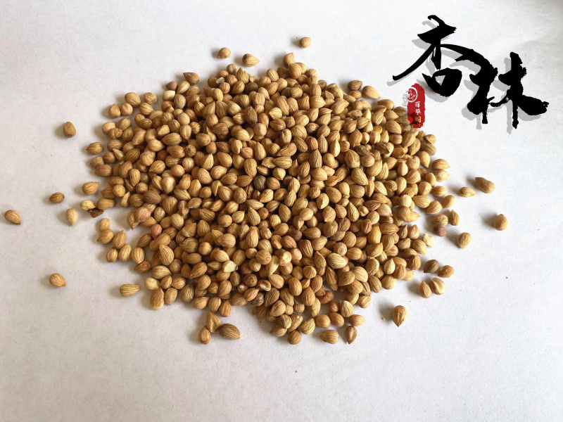 郁李仁郁里仁正品颗粒饱满好货颜色好