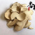 荆三棱荆三棱精品好货质量好货干新店上线价格低廉