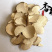 荆三棱荆三棱精品好货质量好货干新店上线价格低廉