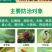 阿维菌素红蜘蛛小黄蛾粉虱菜青虫棉铃虫食心虫
