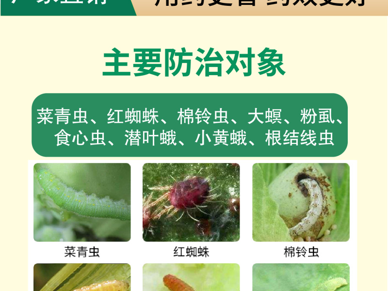 阿维菌素红蜘蛛小黄蛾粉虱菜青虫棉铃虫食心虫
