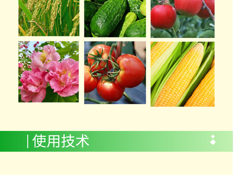 阿维菌素红蜘蛛小黄蛾粉虱菜青虫棉铃虫食心虫