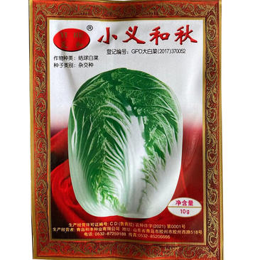小义和秋白菜种子冬储秋季冬季山东胶州大白菜种子种籽孑