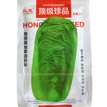 珍品白菜种子抗干烧心抗病强叶深绿色蔬菜基地专用