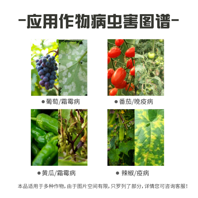 丁子香酚。作物杀菌剂灰霉病晚疫病，病毒病，霜霉病专治