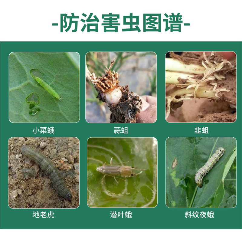 氟啶脲作物杀虫剂韭蛆蒜蛆葱蛆棉铃虫小菜蛾50克一升水比例