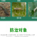 氟啶脲作物杀虫剂韭蛆蒜蛆葱蛆棉铃虫小菜蛾50克一升水比例