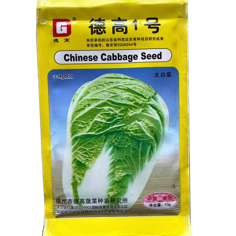 德高一号白菜种子中晚熟秋季85天纤维少适合全国种植
