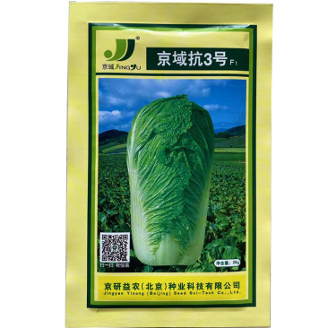 京域抗3号晚熟白菜种子80天紧实净菜4公斤蔬菜基地