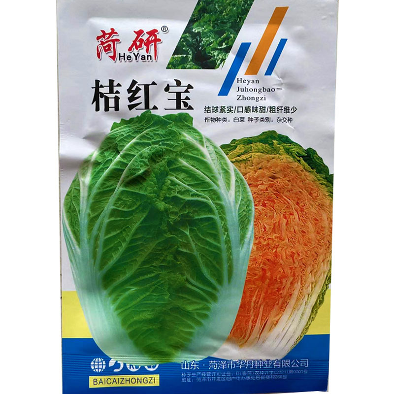 桔红宝白菜种子结球紧实杂交口感味甜可生吃基地专用