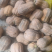 【货源充足】南阳精品花生南瓜大量上市，产地直发量大从优