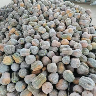 【货源充足】南阳精品花生南瓜大量上市，产地直发量大从优