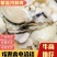 【牛商店长推荐】河蚌肉大量供应厂家直发视频看货