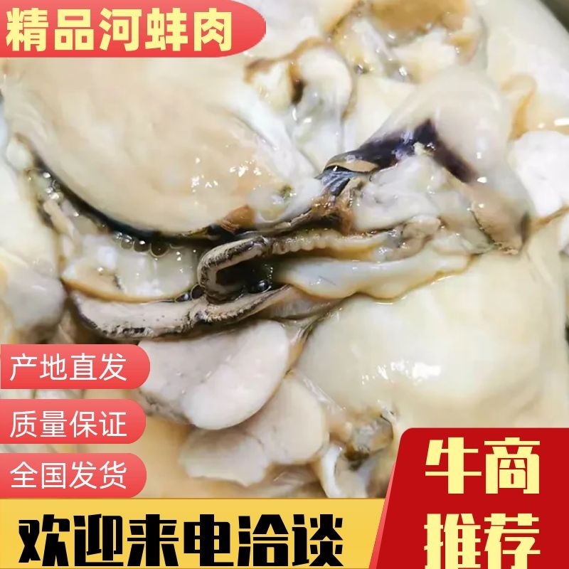 【牛商店长推荐】河蚌肉大量供应厂家直发视频看货