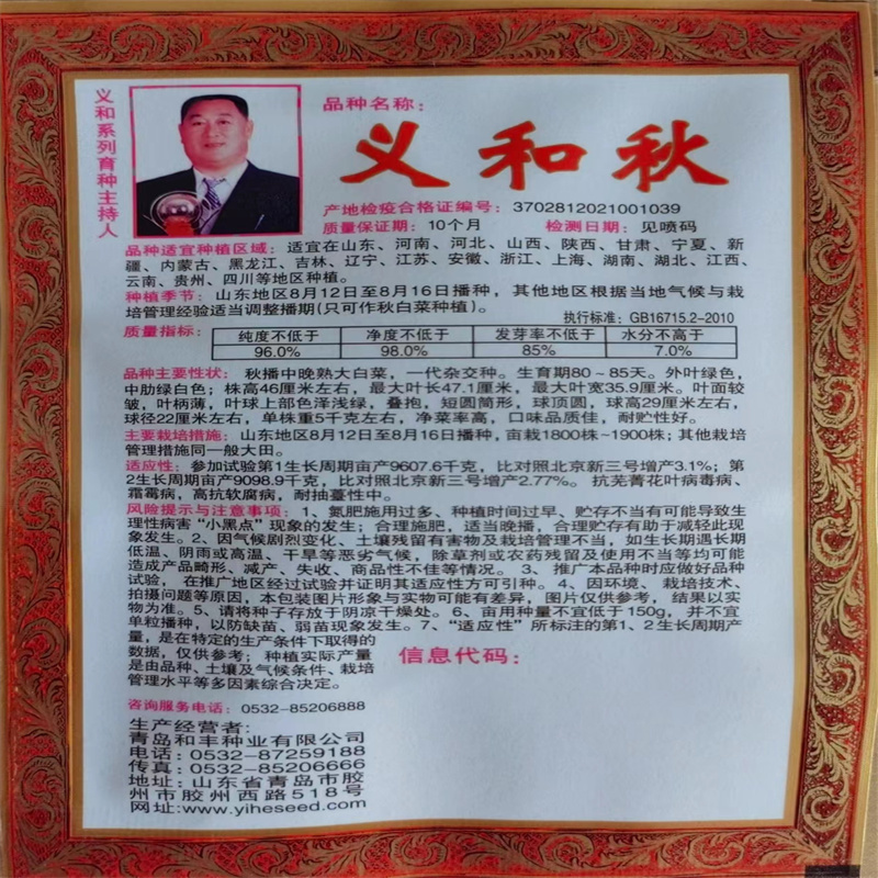 义和秋白菜种子结球大白菜种子胶州高产抗病秋播大田露天