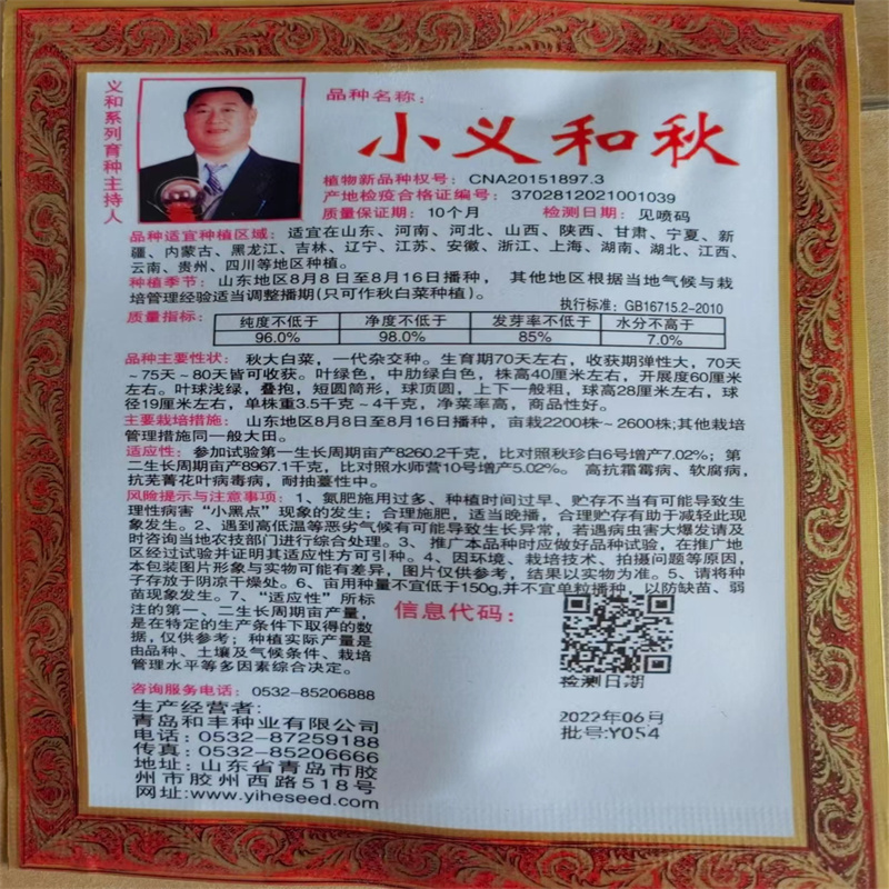 小义和秋白菜种子秋天山东胶东大白菜种子高产短圆筒形