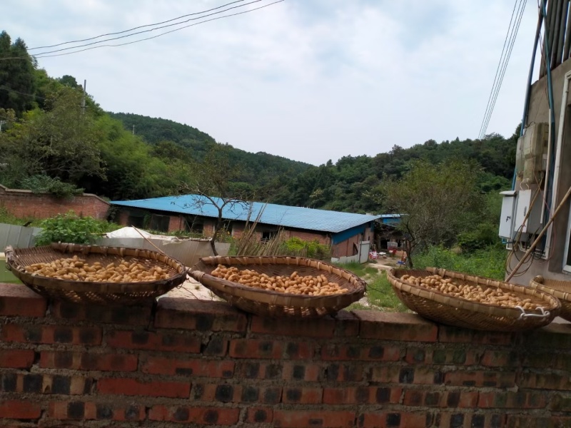 重庆长寿30亩猪场流转，场地设备都是新的，占地3000