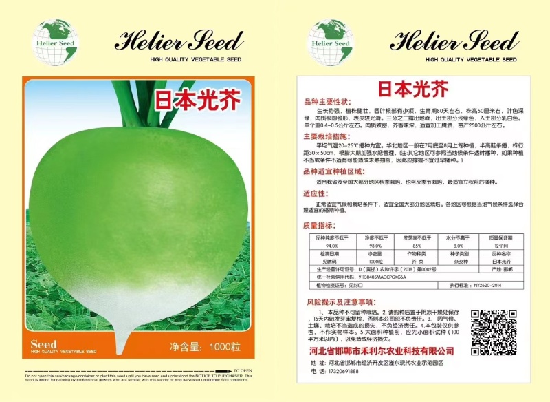 大头菜种子光头芥菜大头萝卜疙瘩榨菜咸菜辣疙瘩春秋