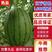 【精品】辽宁西瓜，吊秧小西瓜，L600西瓜，产地直发质量保证