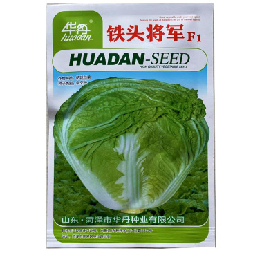 铁头将军结球白菜种子杂交品种矮桩叠抱结球紧实秋季种植