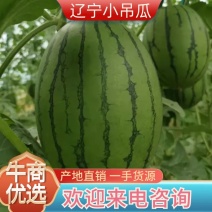 【牛商推荐】东北西瓜，辽宁西瓜，小吊瓜，产地直发，质量保证