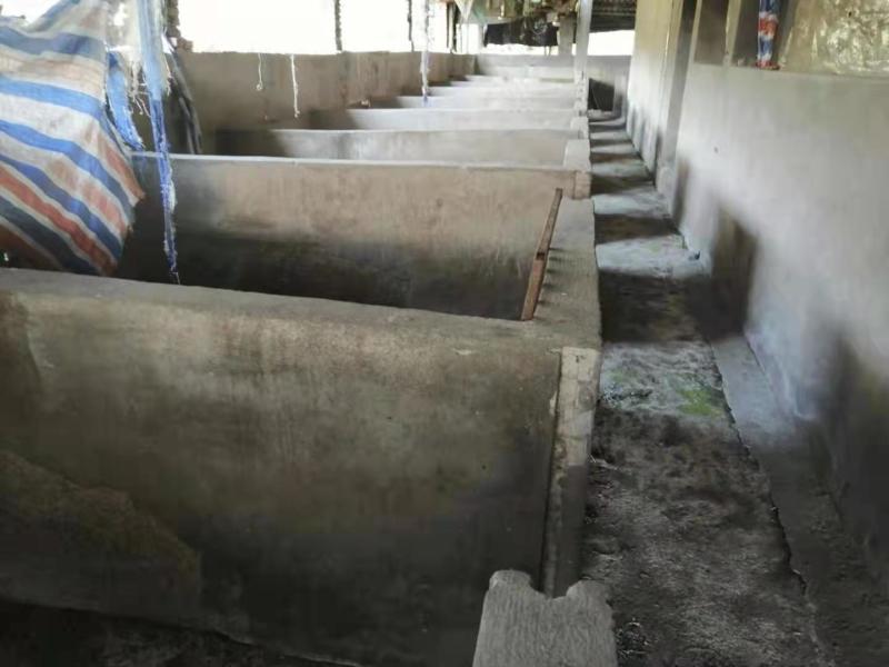 长寿3000平养猪场5年起zu，5万一年，193亩地
