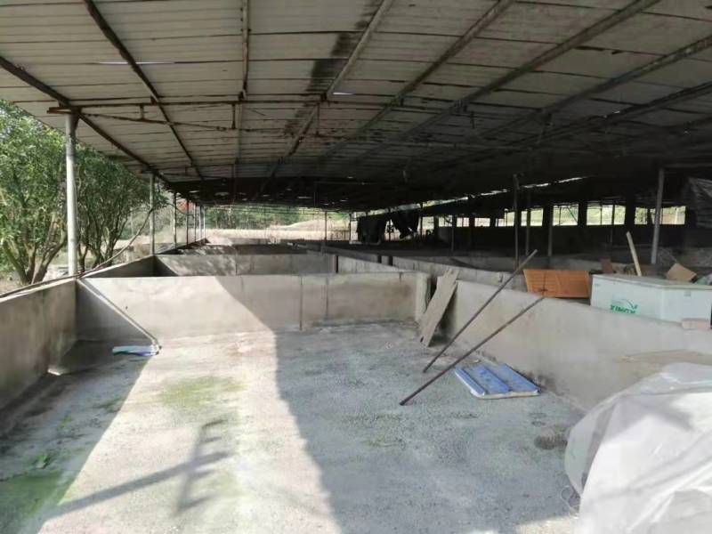 长寿3000平养猪场5年起zu，5万一年，193亩地