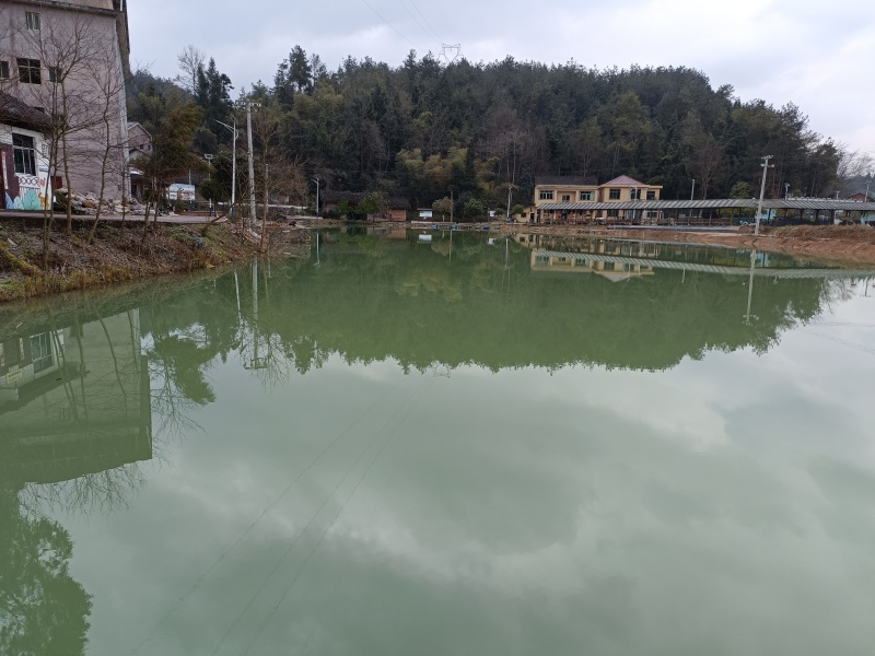 重庆市西南地区一个拿了牌照举办国际赛事的垂钓中心