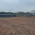 重庆渝北7000平，平整堆场地，12元一平