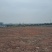 重庆渝北7000平，平整堆场地，12元一平