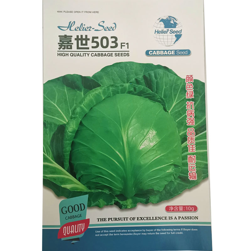 嘉世503甘蓝种子抗病强耐运输颜色绿杂交早熟圆球55天